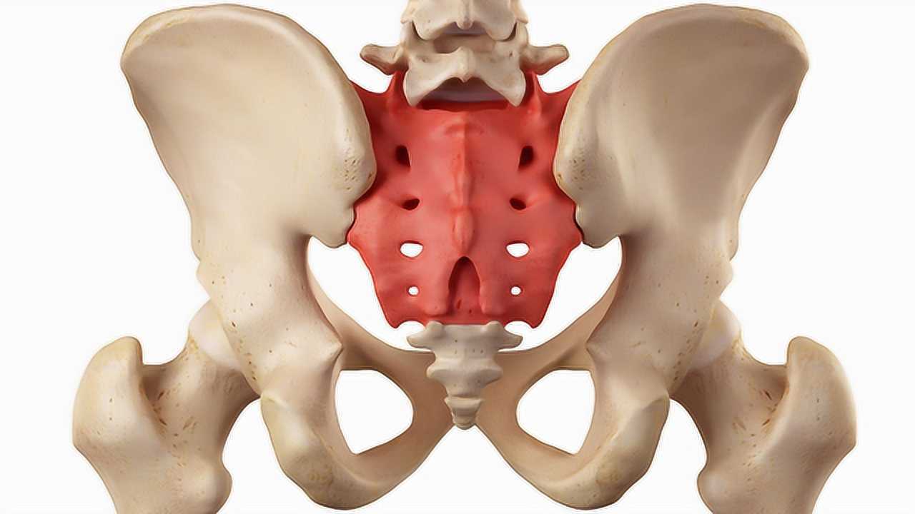 正骨整脊之骨盆——髂骨内外翻的影响及动作评估