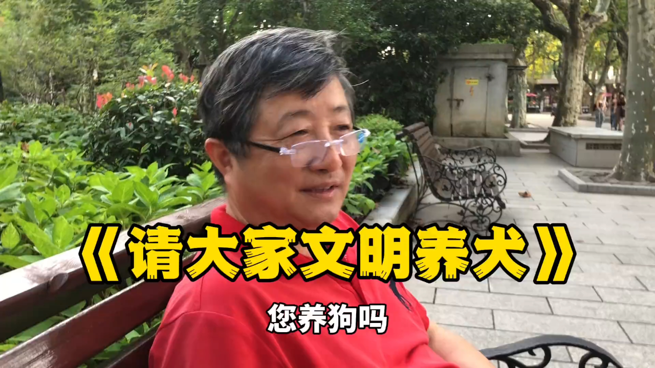 上海爷叔谈烈犬：建议烈性犬狗主人驯化好狗，出门务必戴狗嘴套以及牵绳！_腾讯新闻
