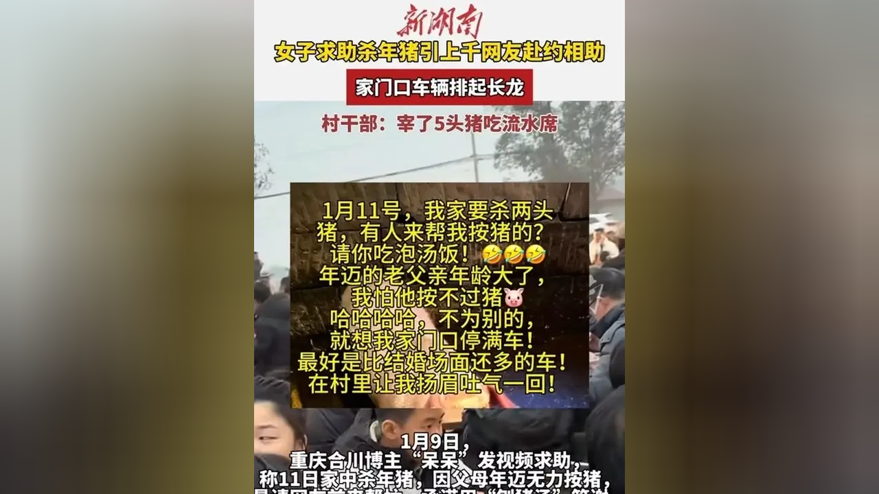 重庆女子求助杀年猪10万网友在线围观