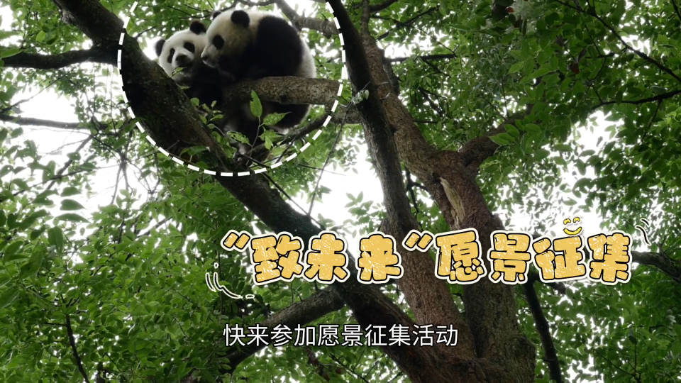 你有一封来自长隆动物宝宝们的梦想征集令!总台六一晚会致未来