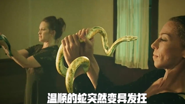 温顺的蛇突然变异发狂,直接钻进人类的肚子,女孩的体内竟能钻出蛇