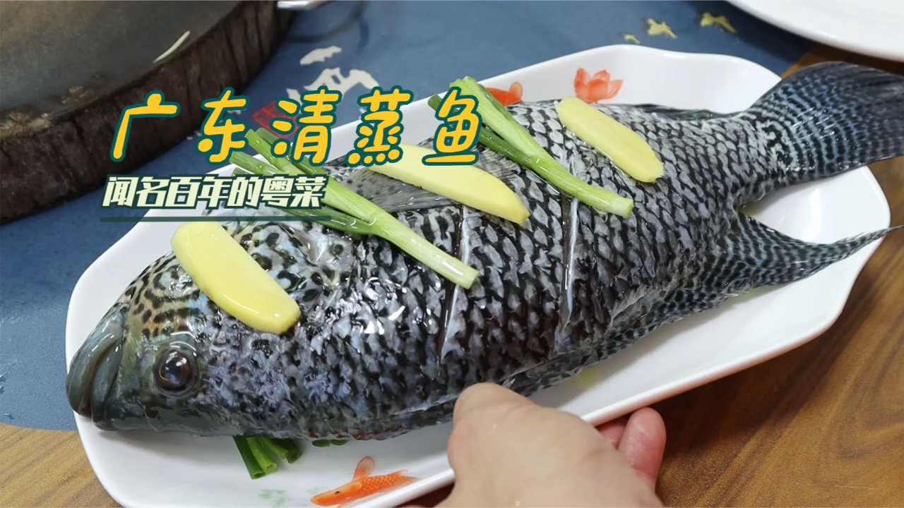 一道广东闻名百年的清蒸鱼做法,8分钟出锅,鲜嫩好吃越吃越回味