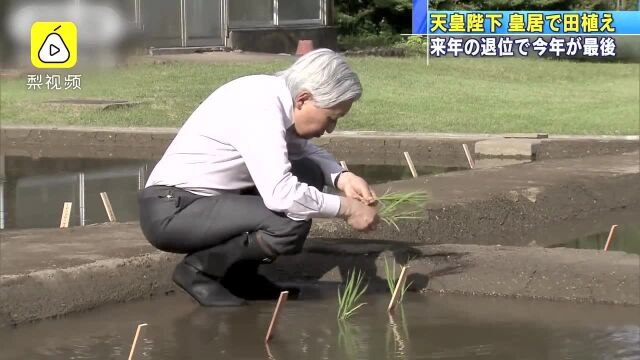 已退位的日本明仁天皇竟是生物学霸:在《基因》上发表论文