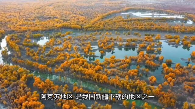 2022年110月阿克苏各地财政收入,库车领衔全区