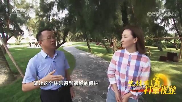 何志军打造旅游度假区,一直秉持着在保护中发展的理念