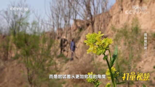 许卫红尝试从更加宏观的角度,解读咸阳城的城市功能