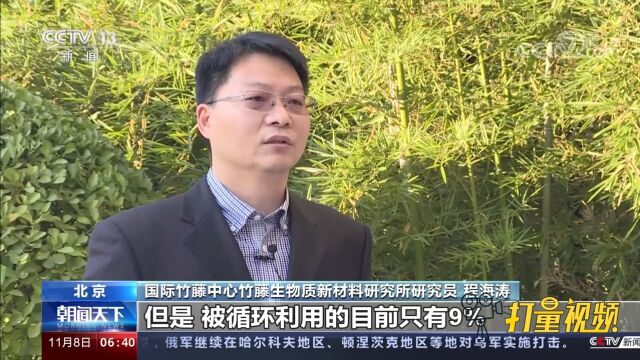 中国与国际竹藤组织发出“以竹代塑”倡议