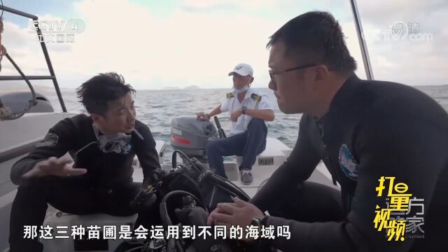 中科院南海海洋研究所团队在5个海域对珊瑚礁进行修复