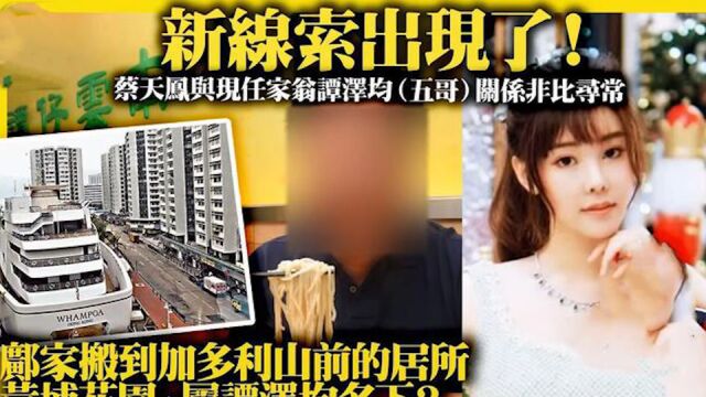 蔡天凤被曝和现任公公关系不一般!女方突然暴富,全靠谭泽均帮忙