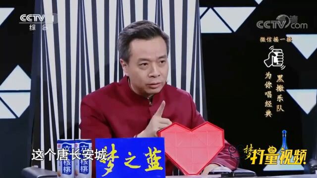 1200多年前的长安是非常伟大的城市,康震报出一组数据震撼全场