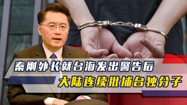 收网行动开始,秦刚外长就台海发出警告后,大陆连续批捕台独分子