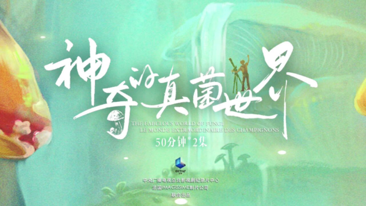 奇妙!纪录片《神奇的真菌世界》带你走近微观世界_高清1080P在线观看平台_腾讯视频