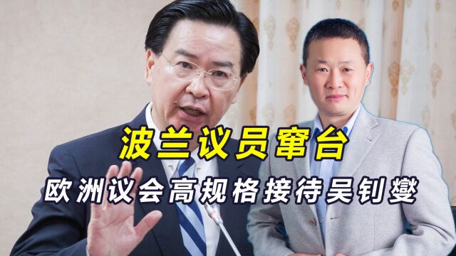 西方挺台无底线!波兰议员窜台,欧洲议会又高规格接待吴钊燮