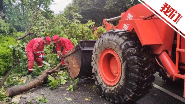 台风“杜苏芮”过后 中国安能二局:连夜疏通福建晋江城区主干道24公里