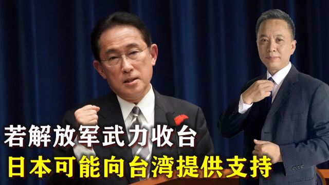 日本防卫副大臣:若解放军武力收台,日本可能向台湾提供支持