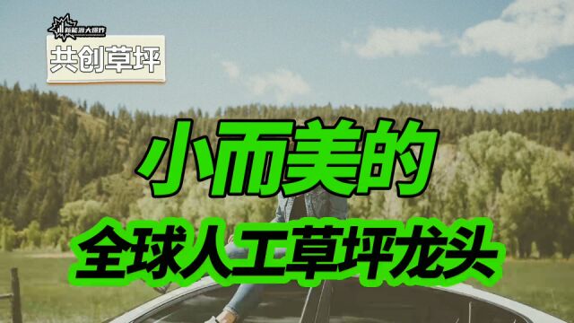 机构低调抄底,小而美的全球龙头,共创草坪,足够低位和低估了