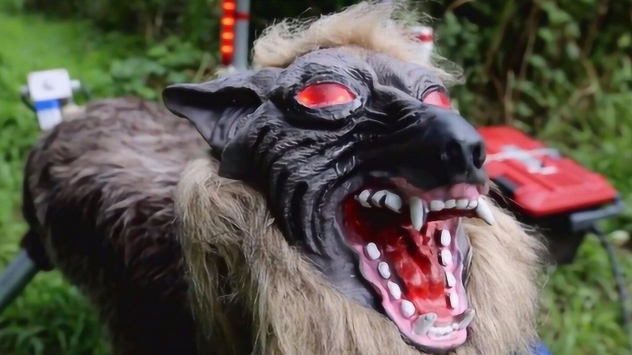 靠狼保护农田,能读取肌肉信息的外骨骼,这就是日本的未来?