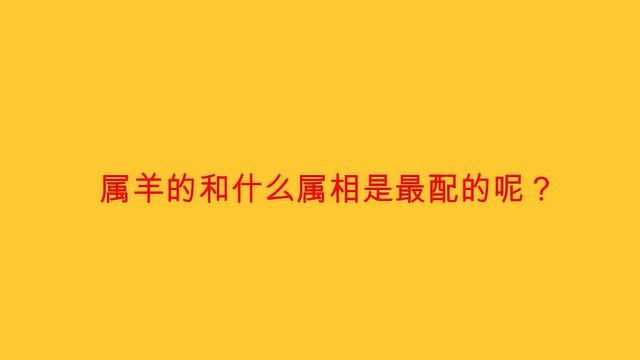 属羊的和什么属相是最配的呢?