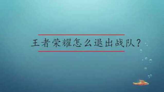 王者荣耀怎么退出战队?