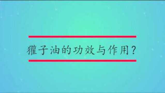 獾子油的功效与作用?