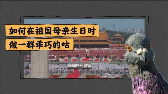 怎样在天安门放飞几万只鸽子?原来北京信鸽协会扮演重要角色