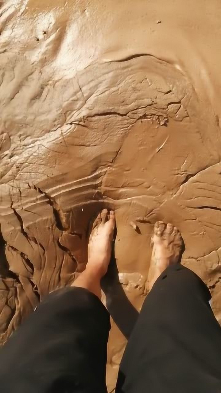 黄河下面淤泥很多,沙子少.深陷泥潭和沼泽没什么区别