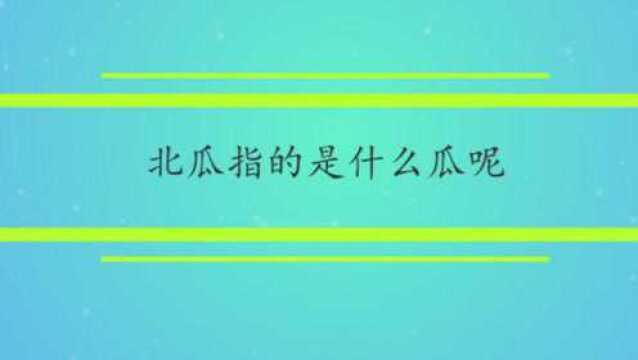 北瓜指的是什么瓜呢?