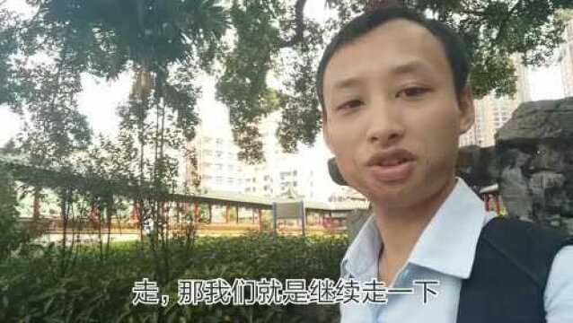 想去苏州园林却去不成?小伙带你了解深圳唯一类似建筑风格的公园