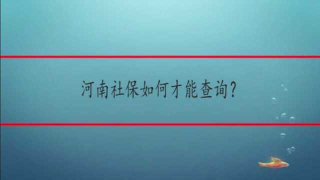 河南社保如何才能查询?