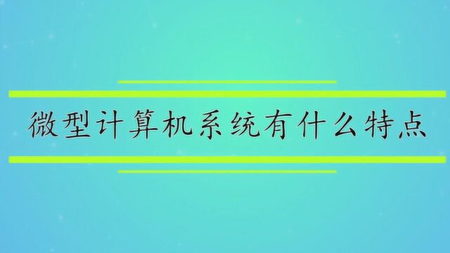 微型计算机系统有什么特点