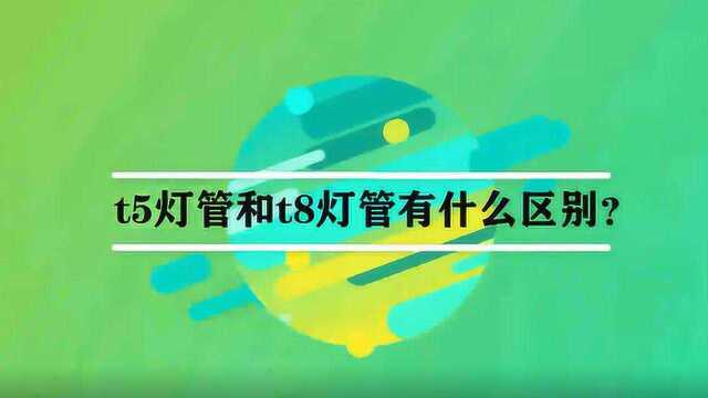 t5灯管和t8灯管有什么区别?