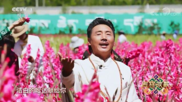 《吉祥谣》演唱:容中尔甲