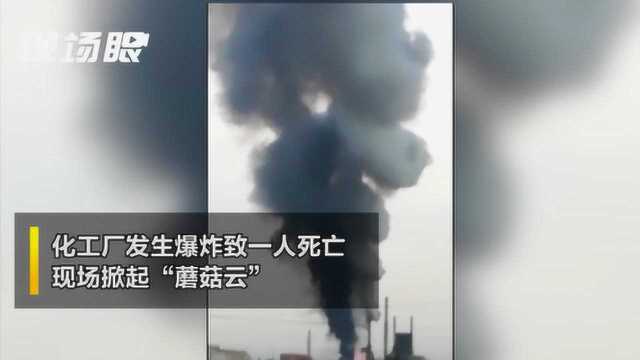 河南一化工厂发生燃爆致1人死亡 现场掀起“蘑菇云”