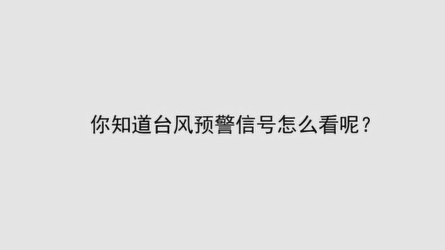 你知道台风预警信号怎么看呢?