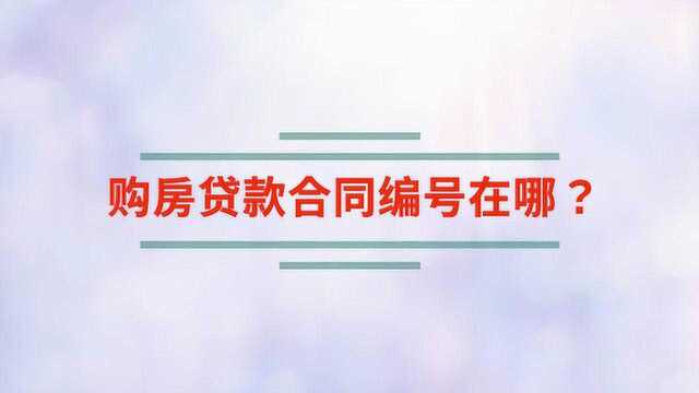 购房贷款合同编号在哪?