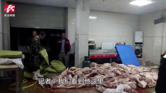 [长沙]猪肉加工厂脏乱差满地血水,监管夜间突查:发现变质肉类