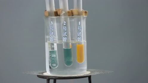 9淀粉酶对淀粉和蔗糖水解的作用