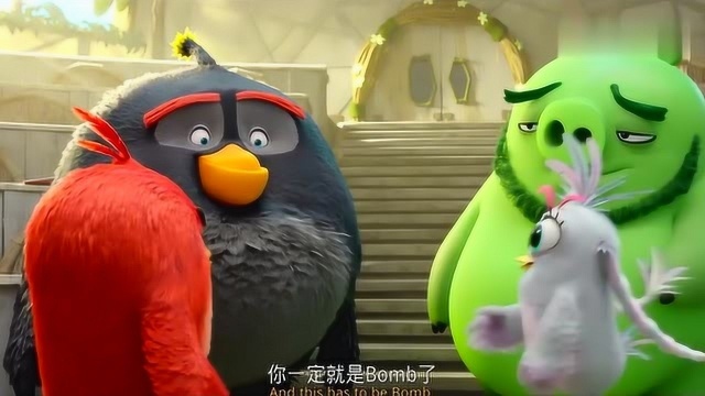 愤怒的小鸟:飞镖黄带胖红见学霸妹妹炫舞银,绿猪雷纳德很喜欢.