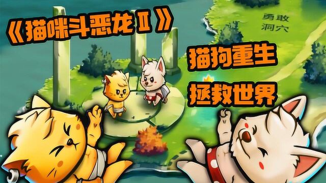 猫咪斗恶龙2:抢夺王座,打倒魔王!猫狗合力维护世界和平!