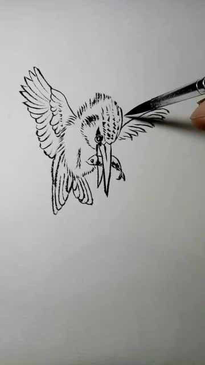 捕鱼能手翠鸟白描画法