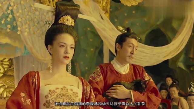 《猫妖传》盛唐惊天之秘,杨贵妃的御猫成妖,只为给主人报仇