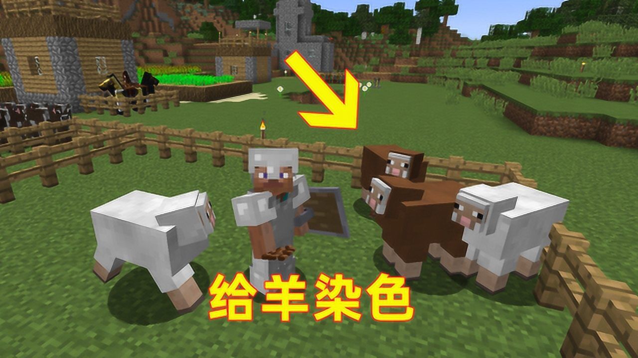 我的世界72！我用可可豆给白色小羊染色，它就变成一只棕色绵羊_腾讯视频