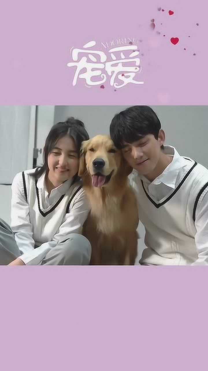 电影宠爱来自今日份的甜被吴磊张子枫猝不及防地萌到