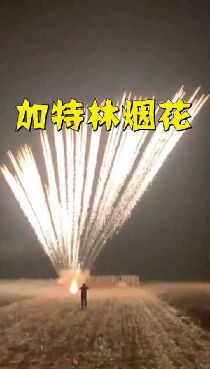 我敢说这烟花上辈子肯定是个加特林这场面太带劲了