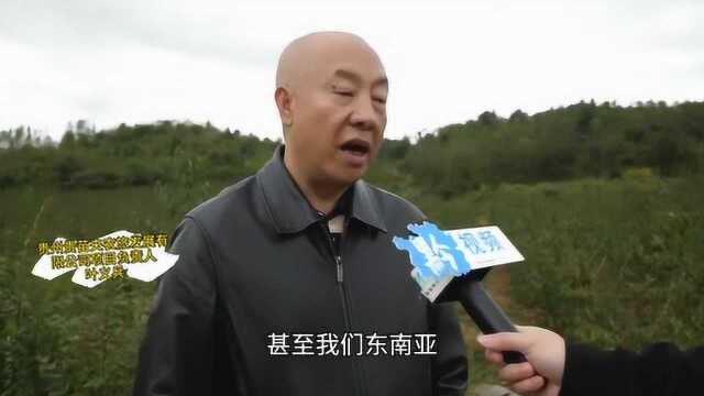 【市县融媒集中采访】叶义兵:大通道助推“黔货出山海货入黔”