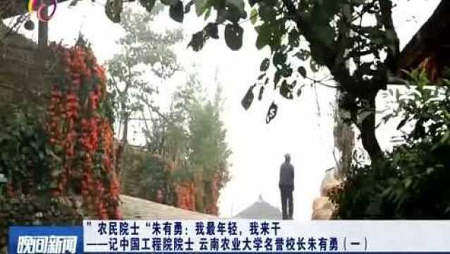 “农民院士”朱有勇:我最年轻,我来干,云南农业大学名誉校长朱有勇