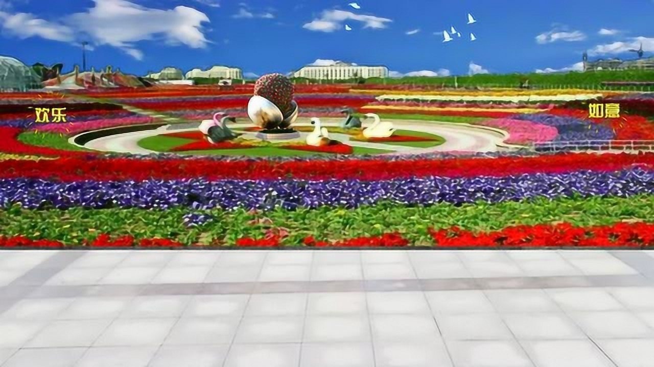 祖国你好广场舞背景