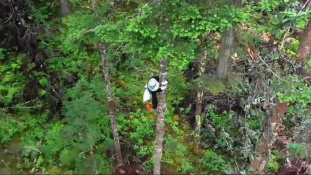 旷野青春|中国种质库已保存一万多种植物种子,种子猎人搭建“方舟”