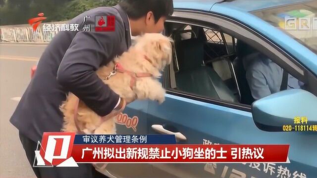 审议养犬管理条例:广州拟出新规禁止小狗坐的士,引热议