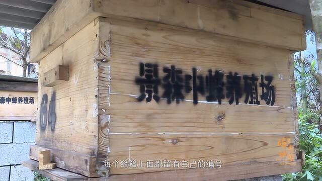 【玛汝地雄】石栏镇:田塘村多种产业齐发力